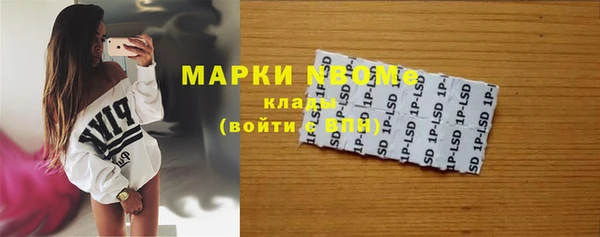прущие грибы Алексеевка